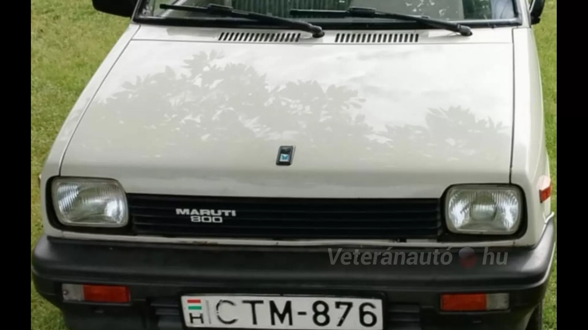 Maruti 800