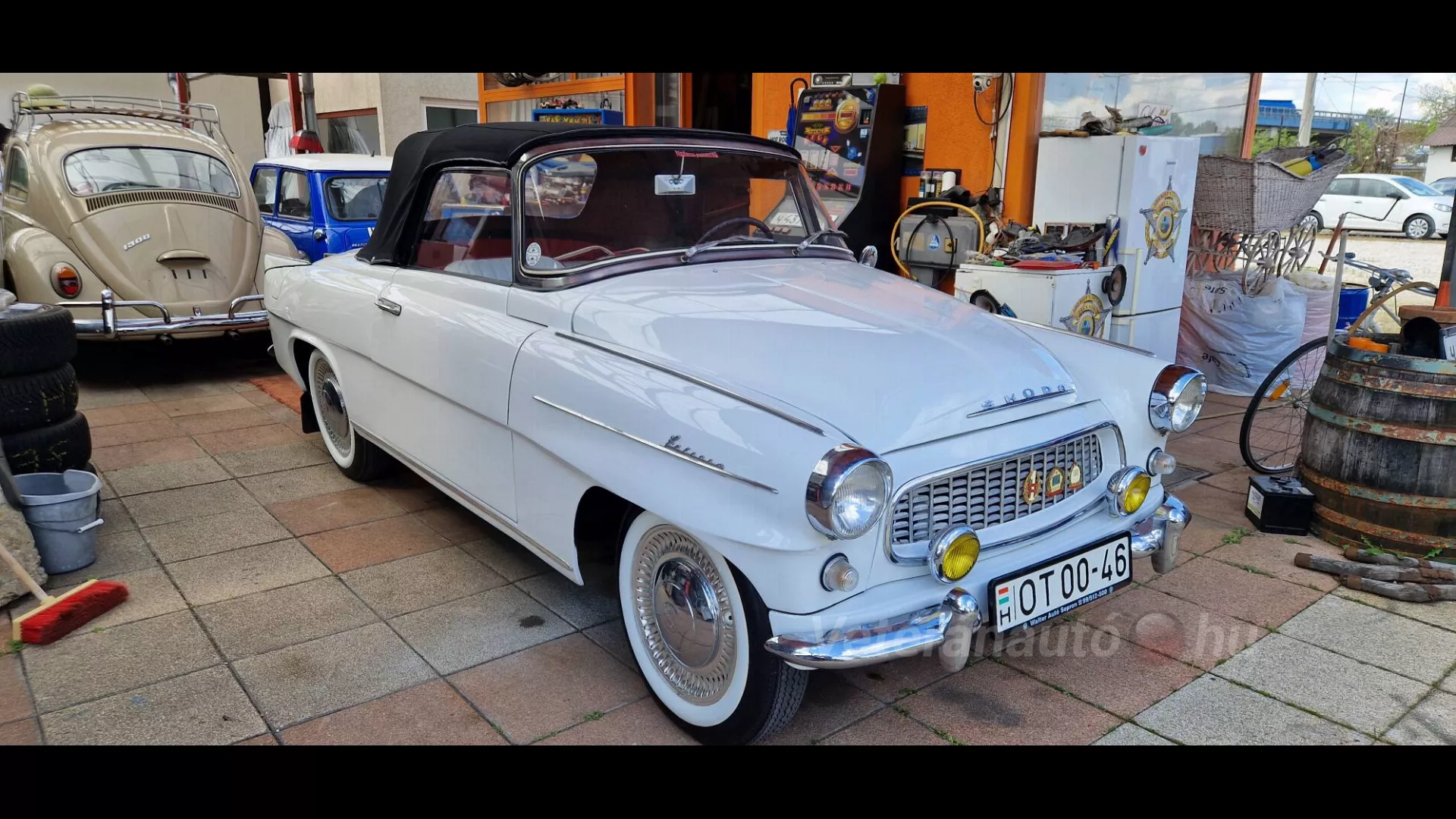 SZÓSZERINT RITKA MINT A FEHÉRHOLLÓ