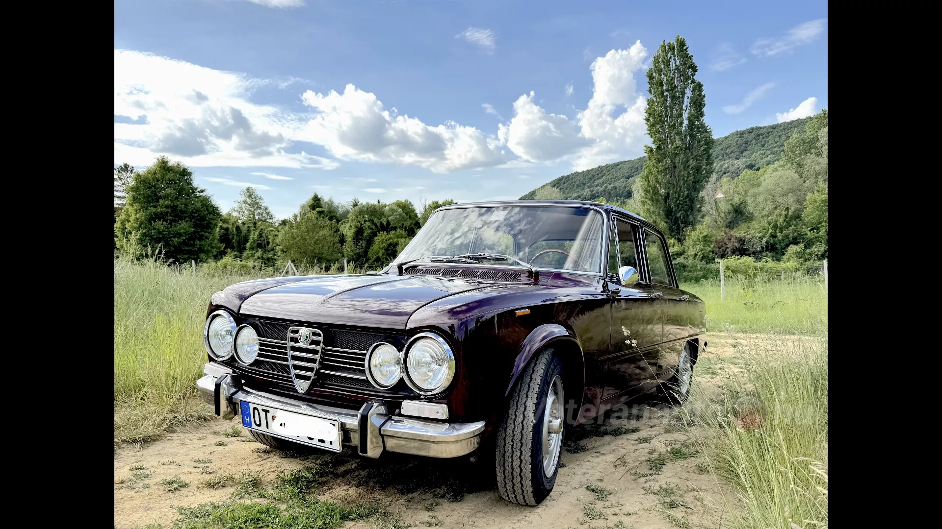 ALFA ROMEO Gulia Super 1300