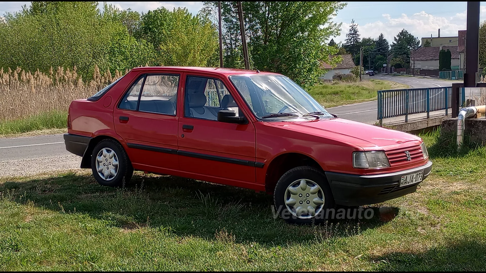 Peugeot 309 GL Profil